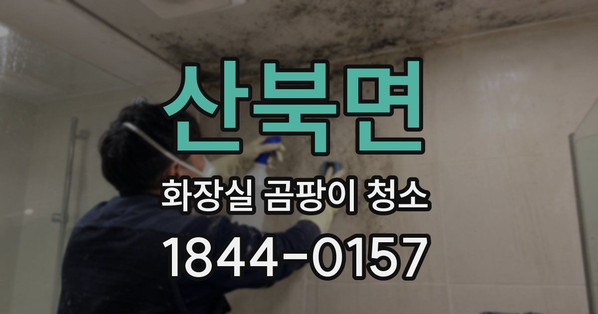 산북면 화장실 곰팡이 청소