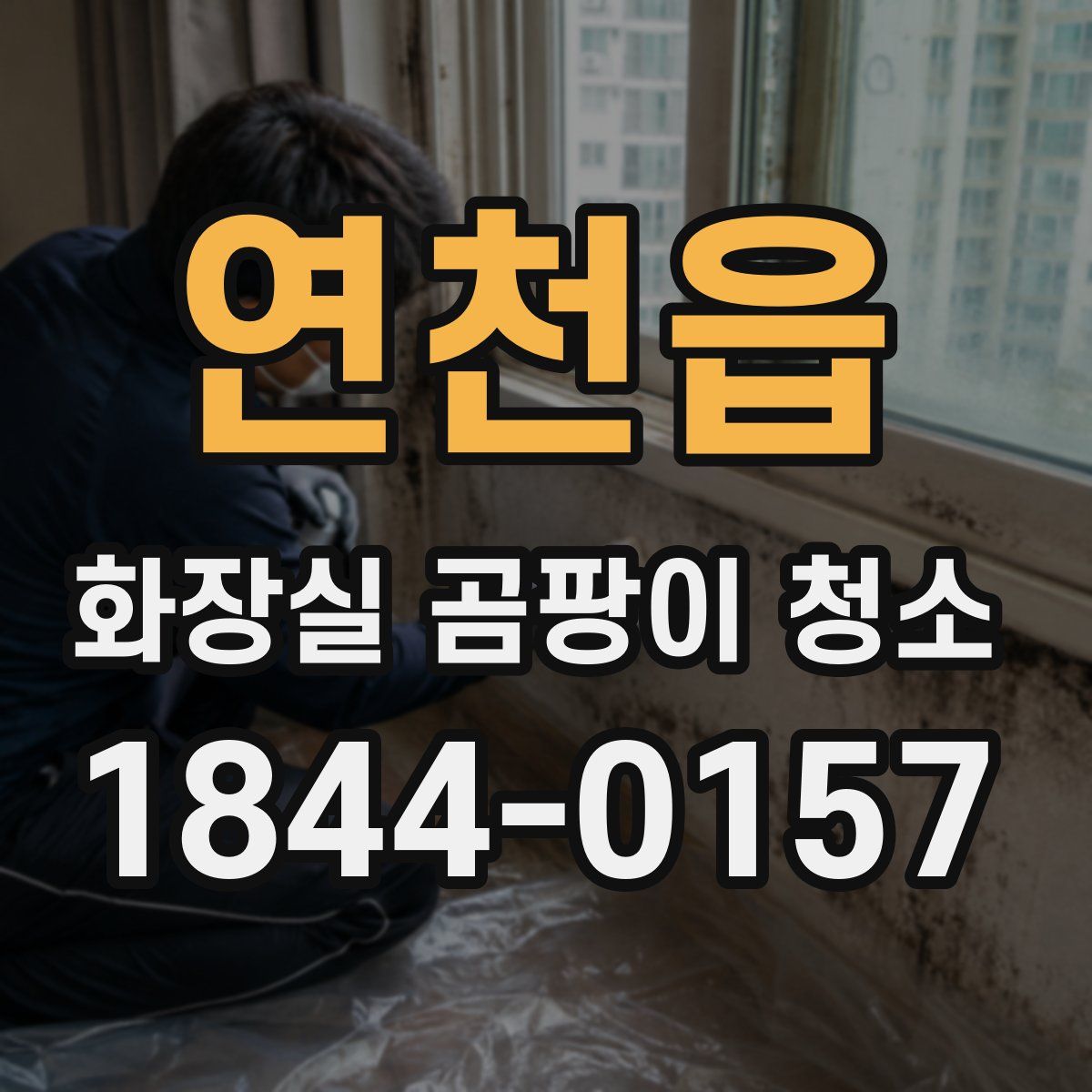 연천읍 화장실 곰팡이 청소