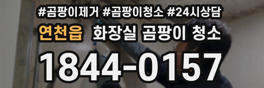 연천읍 화장실 곰팡이 청소