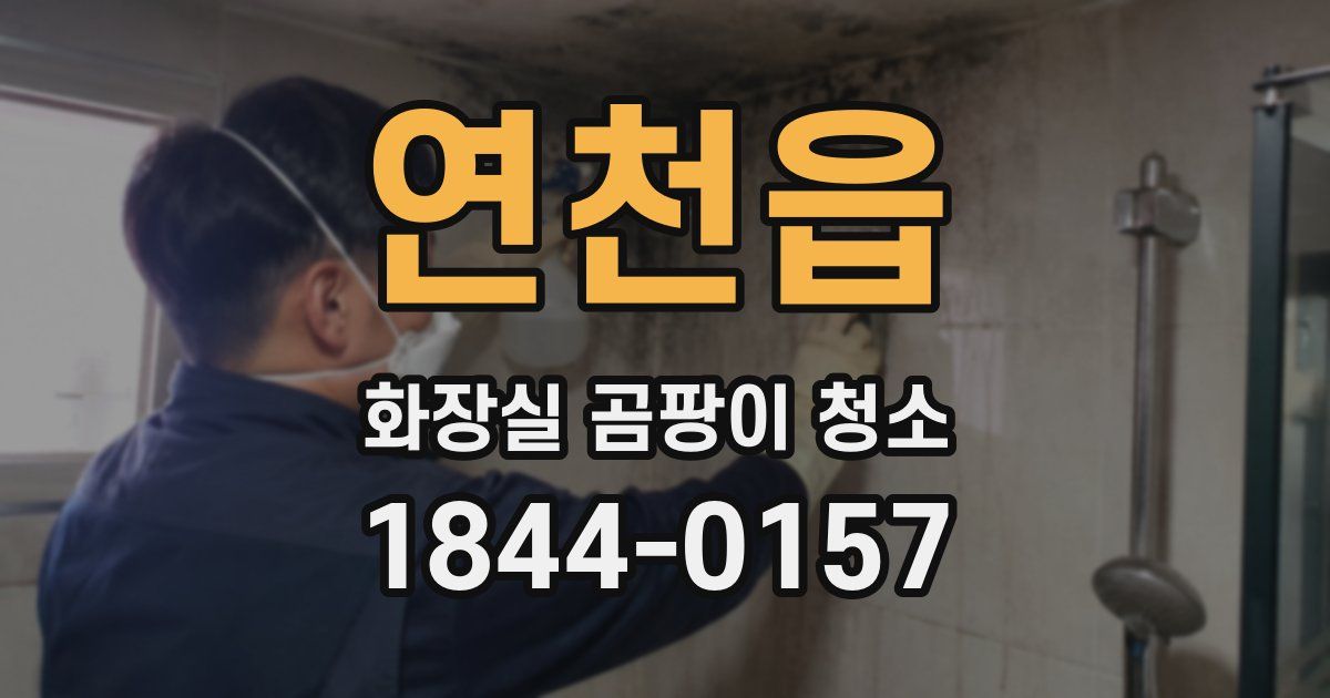연천읍 화장실 곰팡이 청소