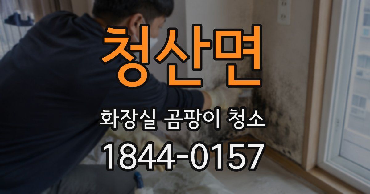 청산면 화장실 곰팡이 청소