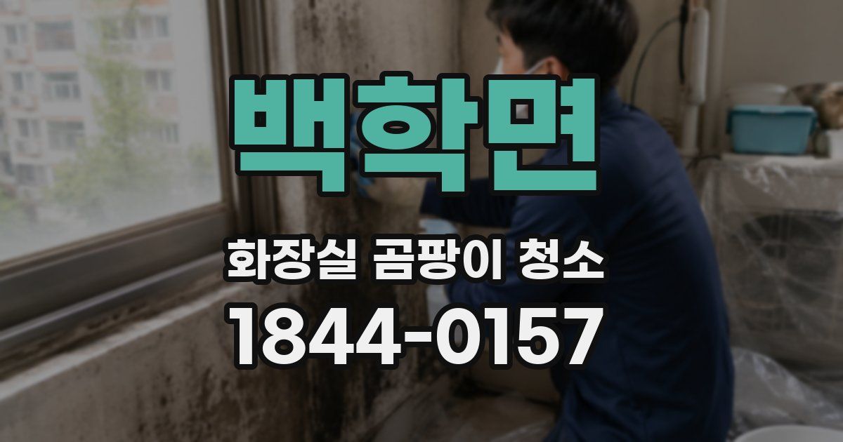 백학면 화장실 곰팡이 청소