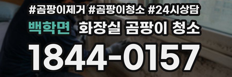 백학면 화장실 곰팡이 청소