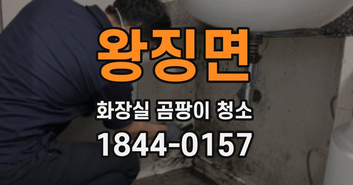 왕징면 화장실 곰팡이 청소