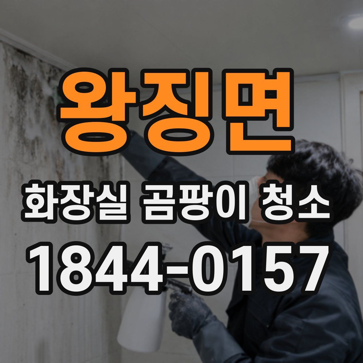 왕징면 화장실 곰팡이 청소