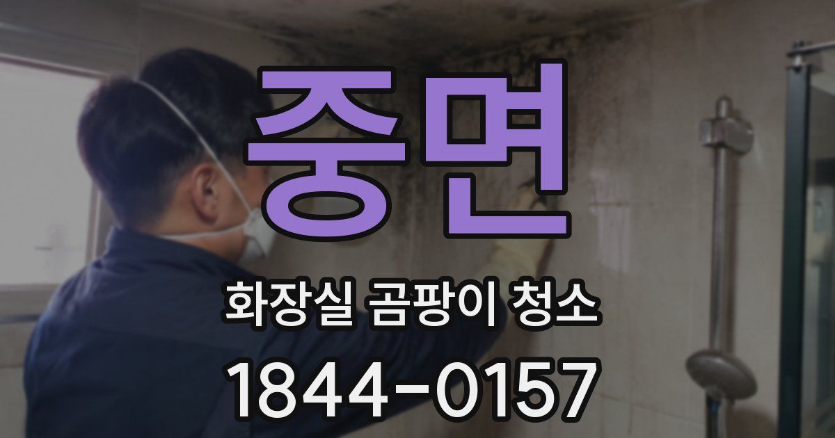 중면 화장실 곰팡이 청소