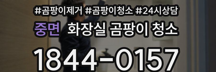 중면 화장실 곰팡이 청소