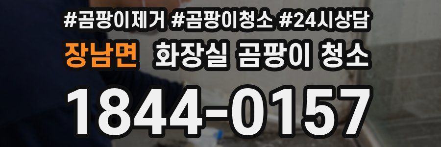 장남면 화장실 곰팡이 청소