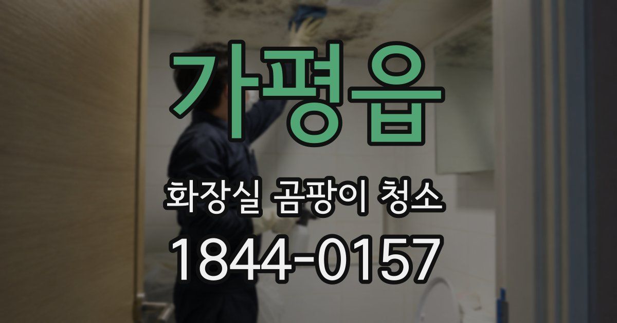가평읍 화장실 곰팡이 청소