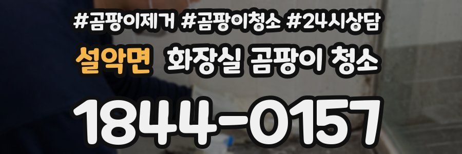 설악면 화장실 곰팡이 청소