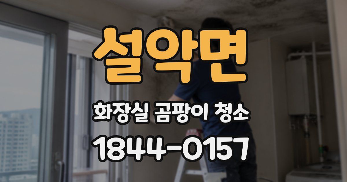 설악면 화장실 곰팡이 청소