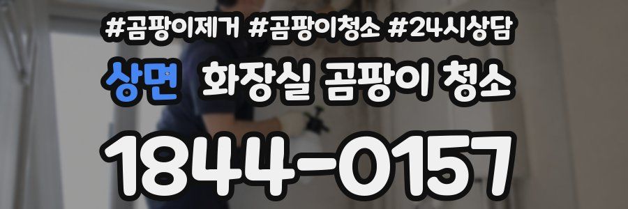 상면 화장실 곰팡이 청소