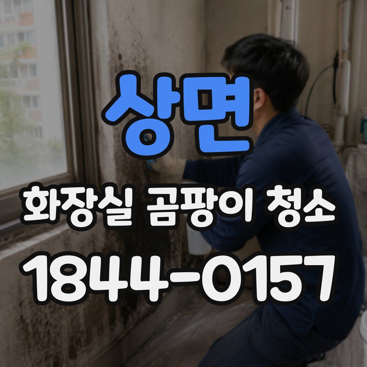 상면 화장실 곰팡이 청소