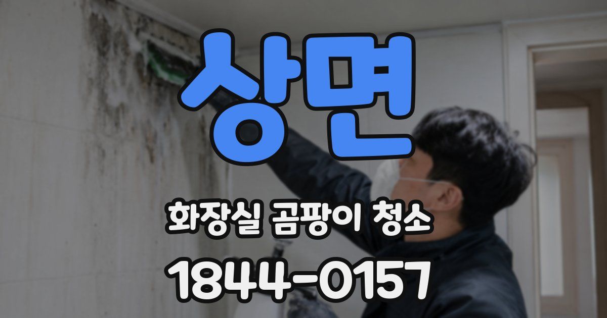 상면 화장실 곰팡이 청소