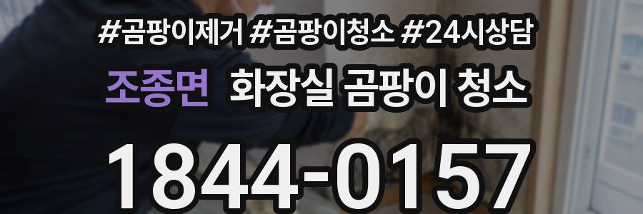 조종면 화장실 곰팡이 청소