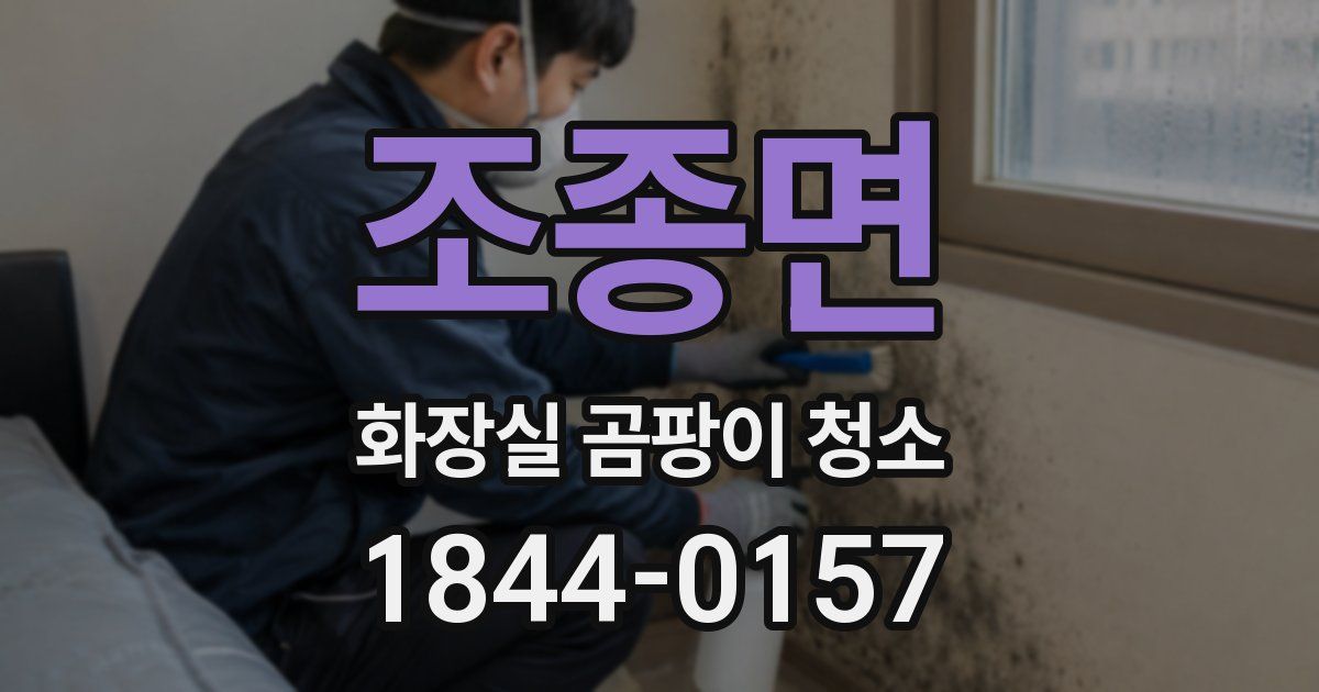 조종면 화장실 곰팡이 청소