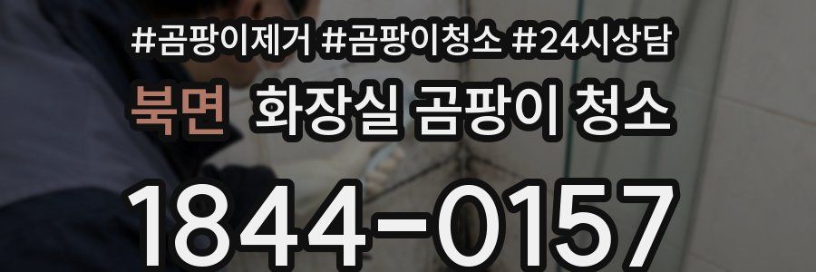 북면 화장실 곰팡이 청소