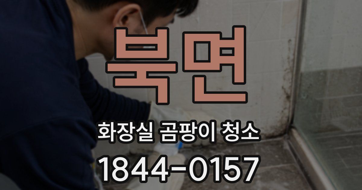 북면 화장실 곰팡이 청소