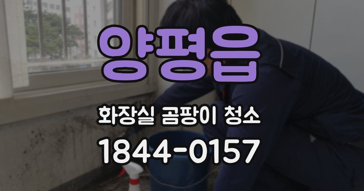 양평읍 화장실 곰팡이 청소
