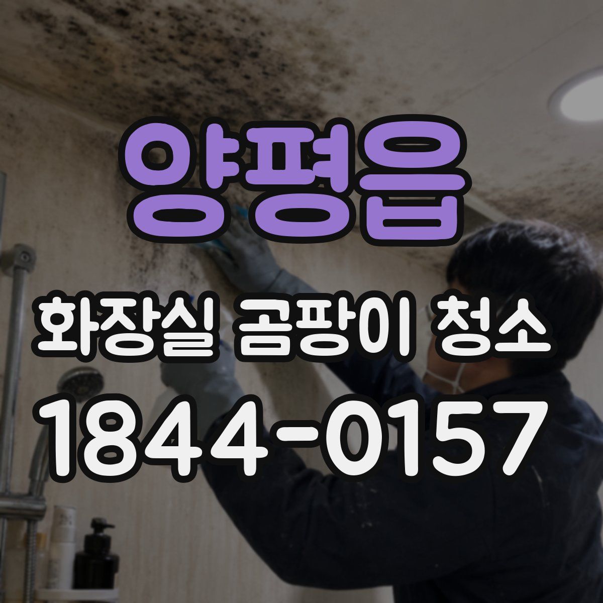 양평읍 화장실 곰팡이 청소