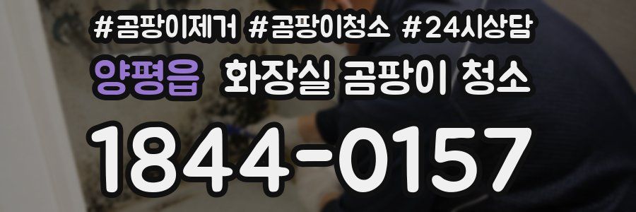 양평읍 화장실 곰팡이 청소