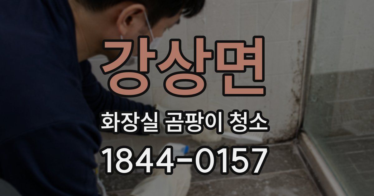 강상면 화장실 곰팡이 청소
