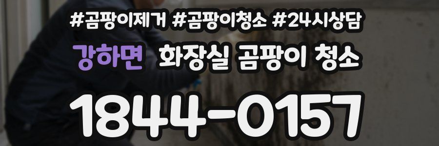 강하면 화장실 곰팡이 청소
