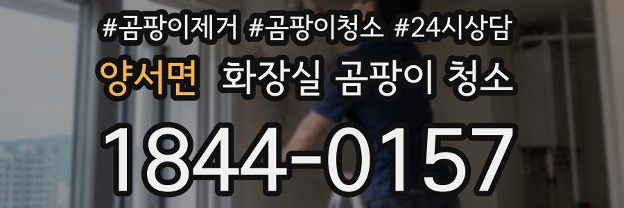 양서면 화장실 곰팡이 청소