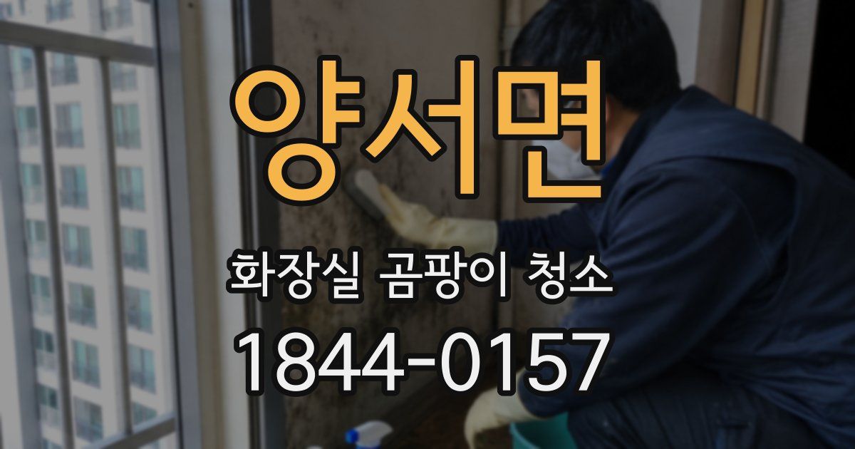 양서면 화장실 곰팡이 청소