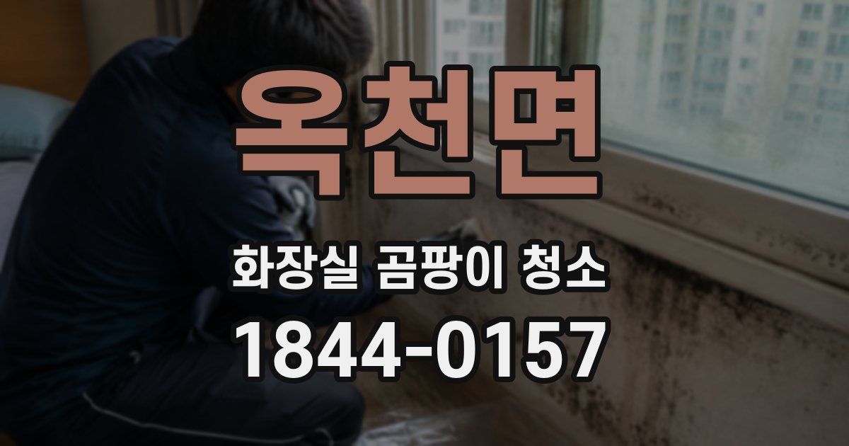 옥천면 화장실 곰팡이 청소