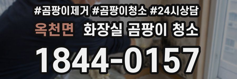 옥천면 화장실 곰팡이 청소