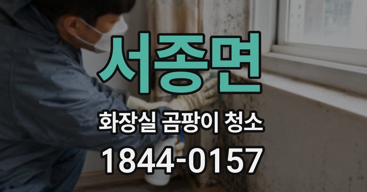 서종면 화장실 곰팡이 청소