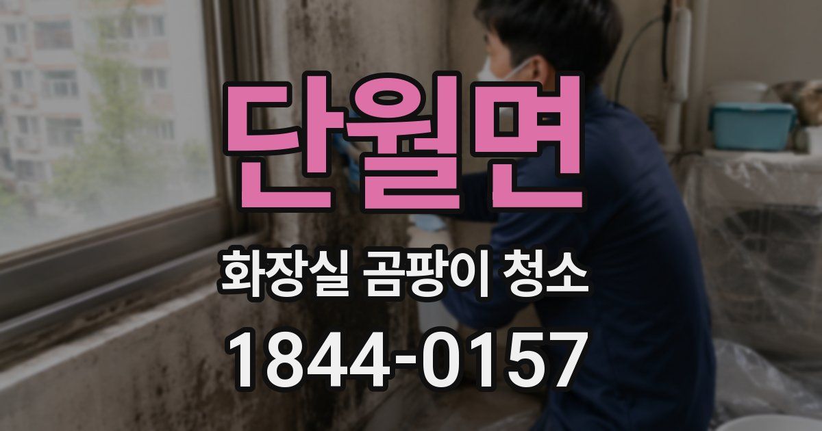 단월면 화장실 곰팡이 청소