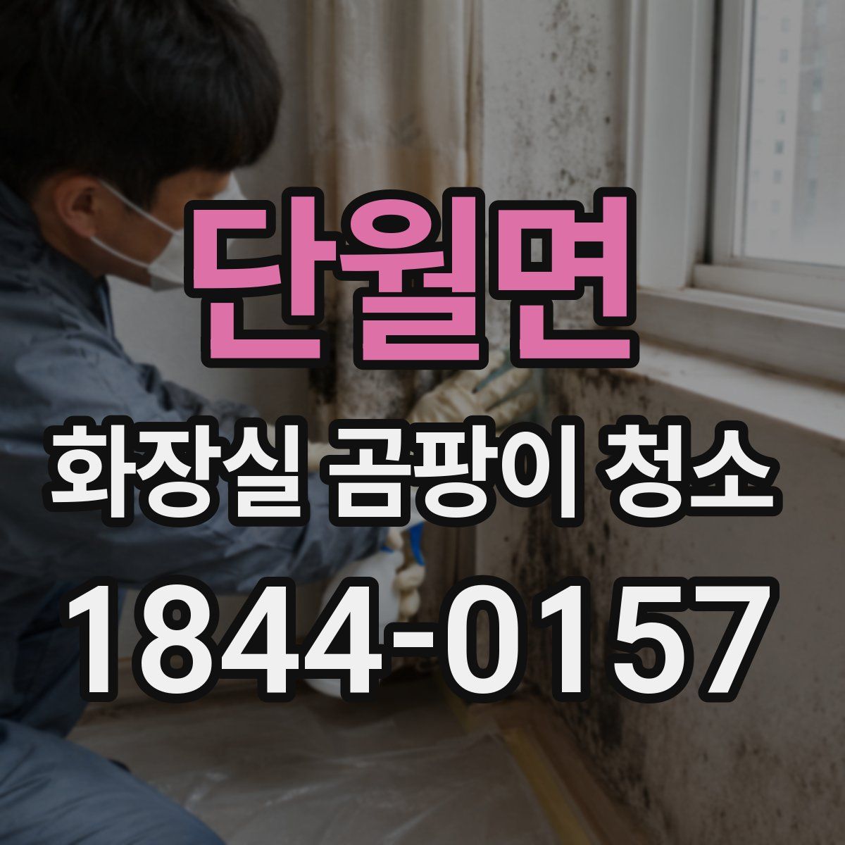 단월면 화장실 곰팡이 청소