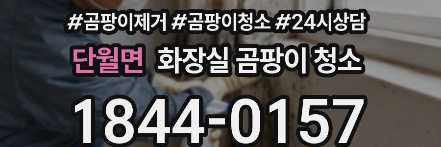 단월면 화장실 곰팡이 청소