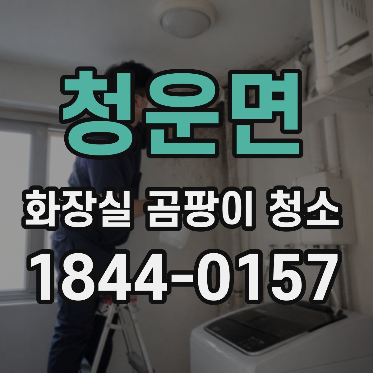 청운면 화장실 곰팡이 청소
