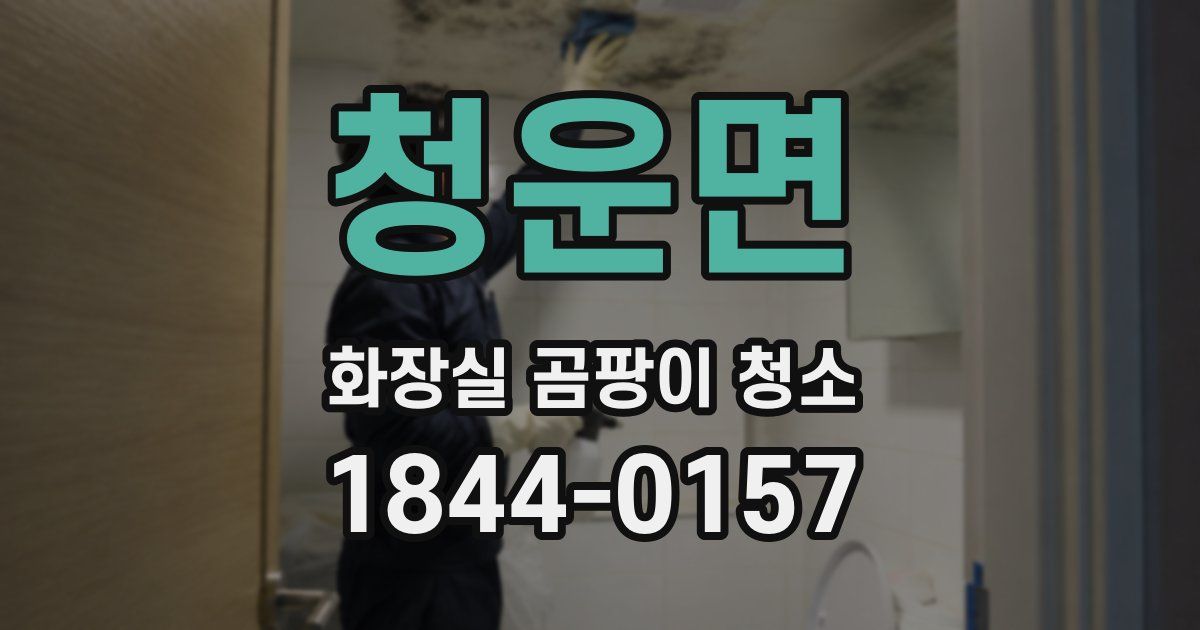 청운면 화장실 곰팡이 청소