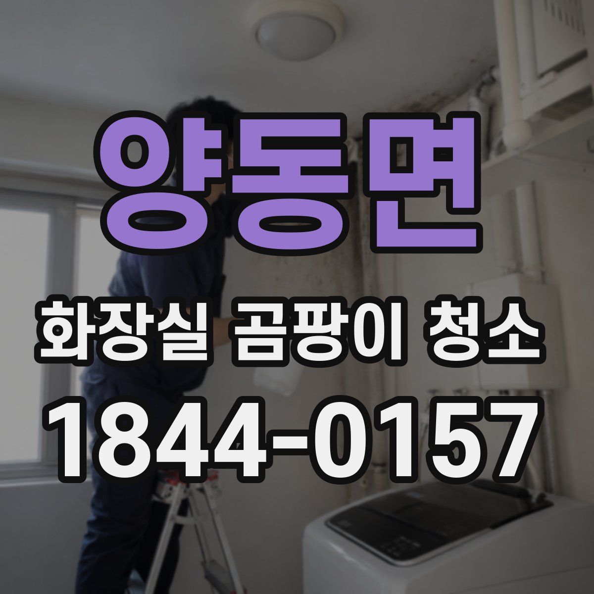양동면 화장실 곰팡이 청소