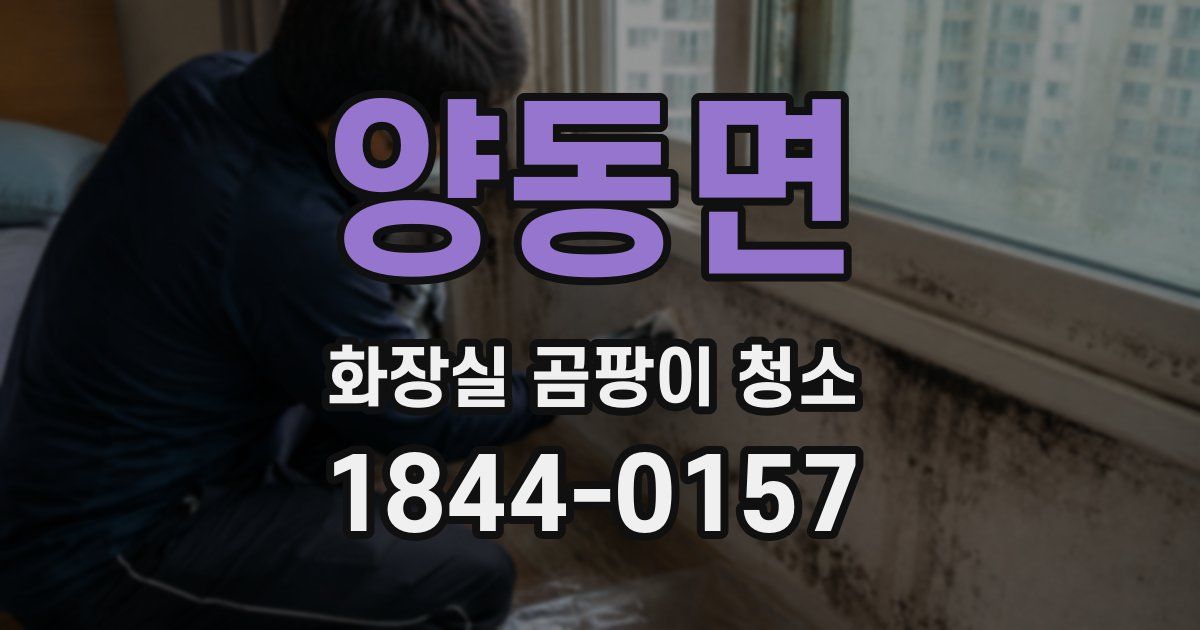 양동면 화장실 곰팡이 청소