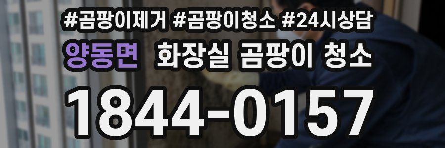 양동면 화장실 곰팡이 청소