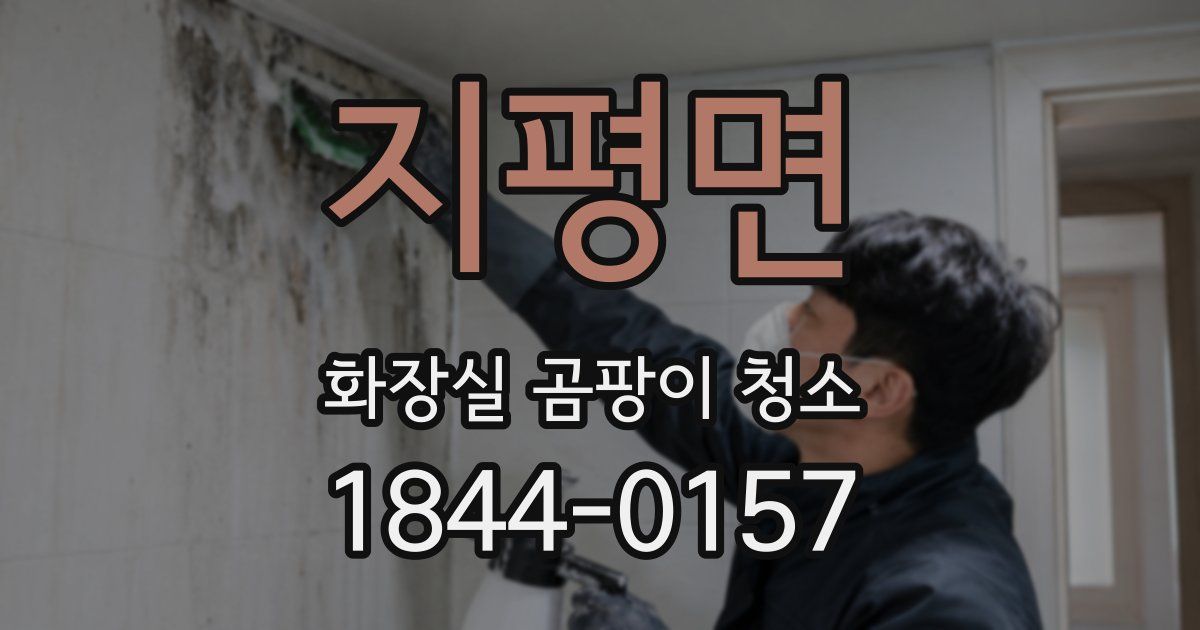 지평면 화장실 곰팡이 청소