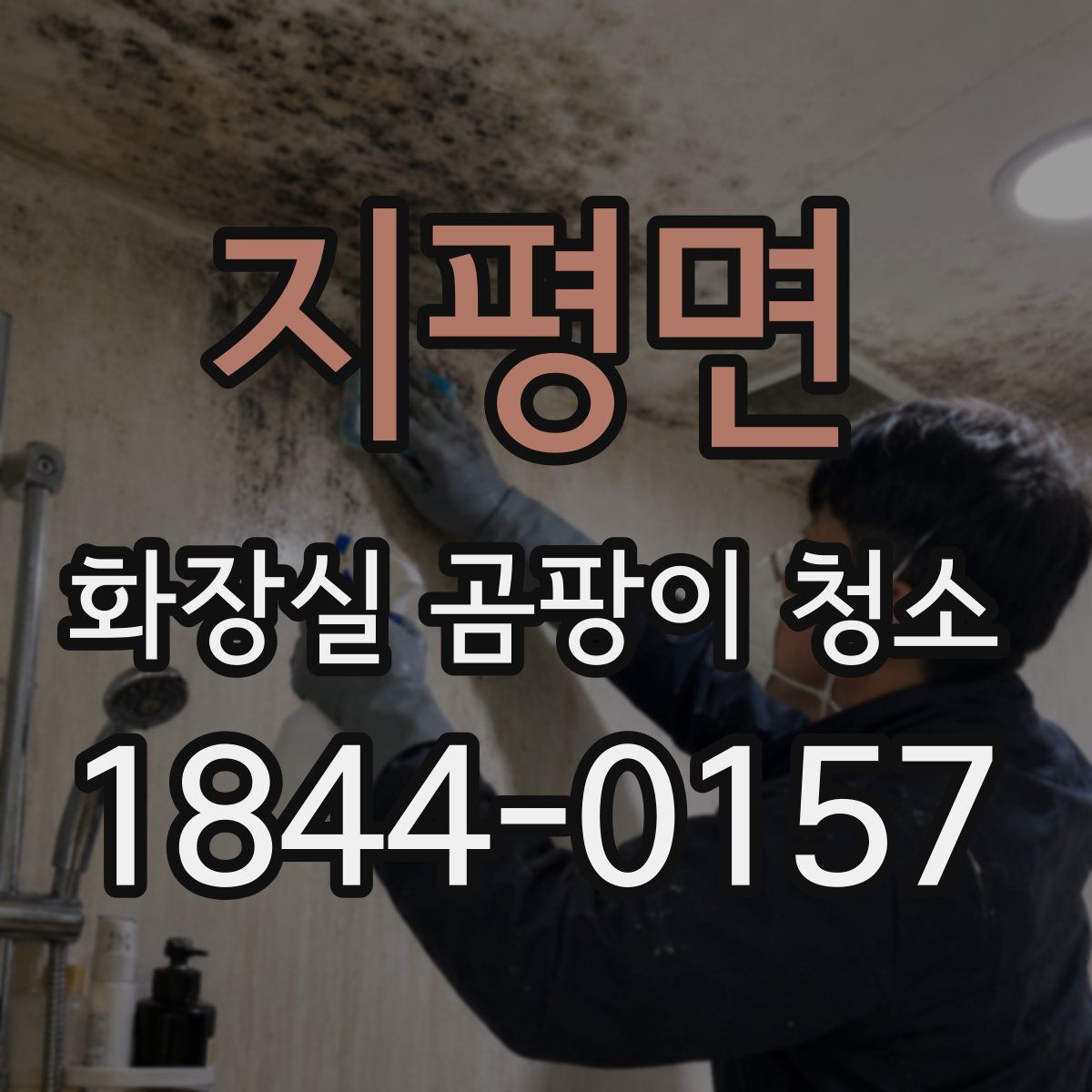 지평면 화장실 곰팡이 청소