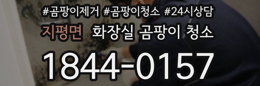 지평면 화장실 곰팡이 청소