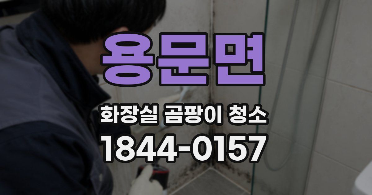 용문면 화장실 곰팡이 청소