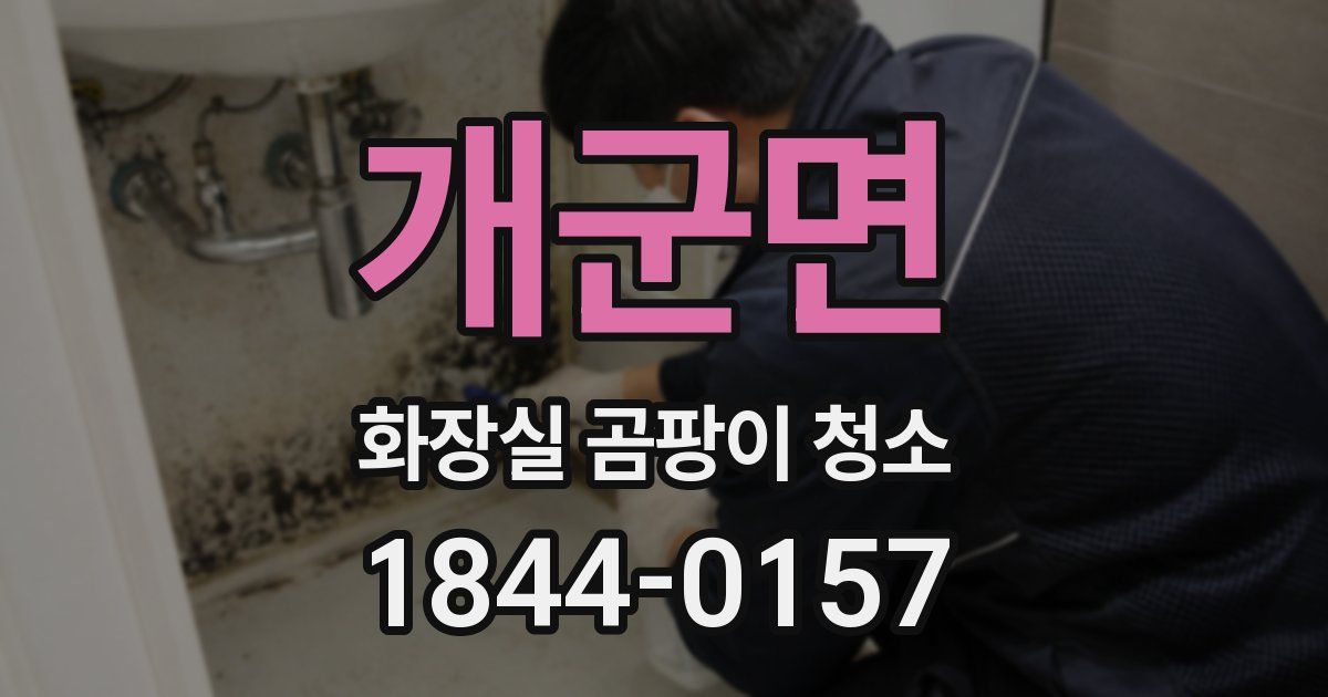 개군면 화장실 곰팡이 청소