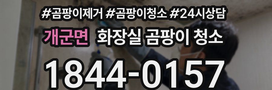 개군면 화장실 곰팡이 청소
