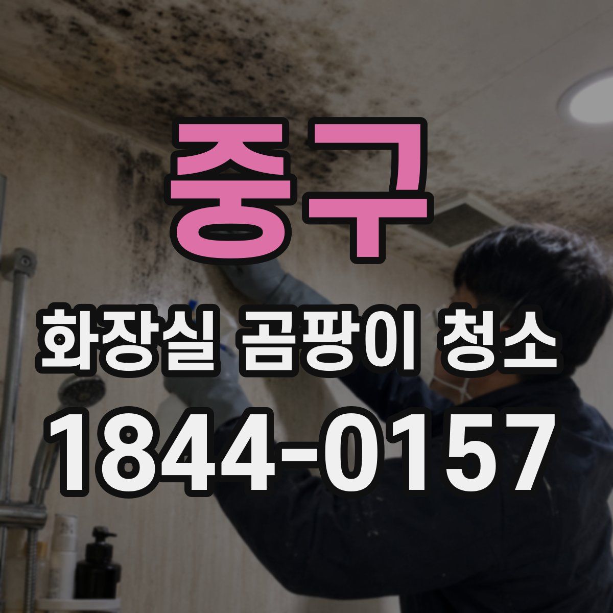 중구 화장실 곰팡이 청소