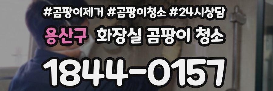 용산구 화장실 곰팡이 청소