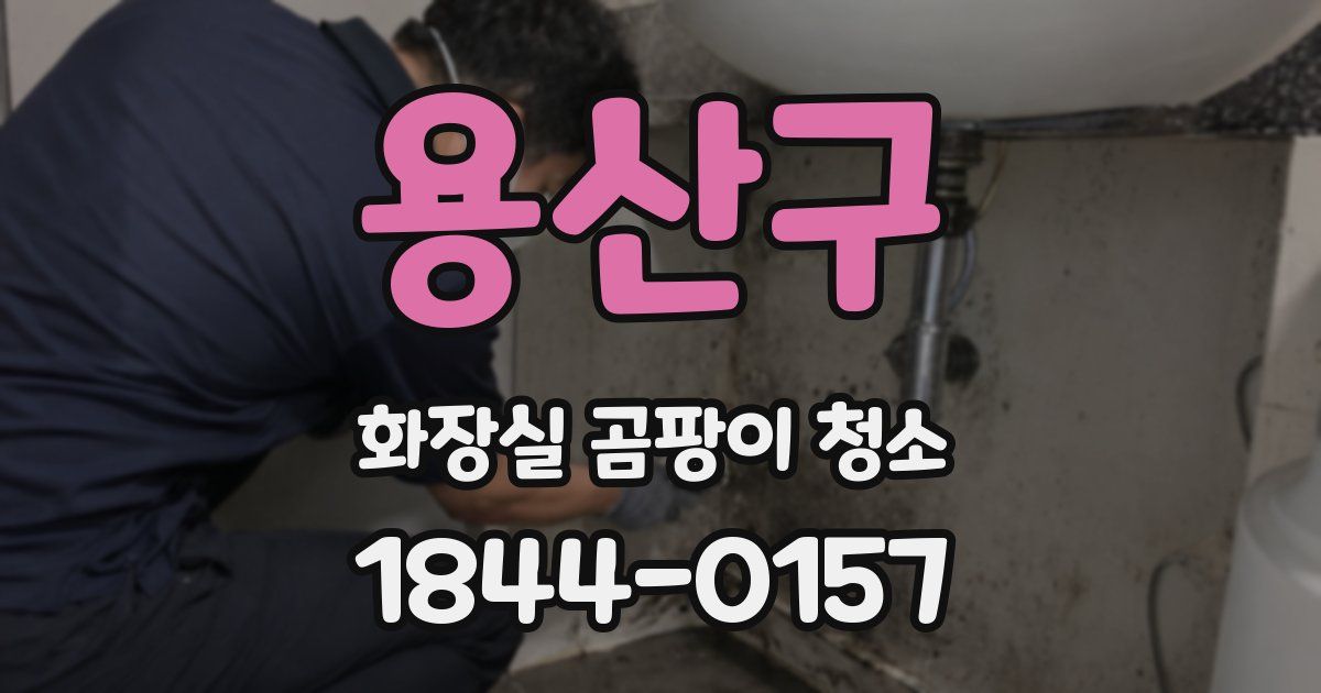 용산구 화장실 곰팡이 청소
