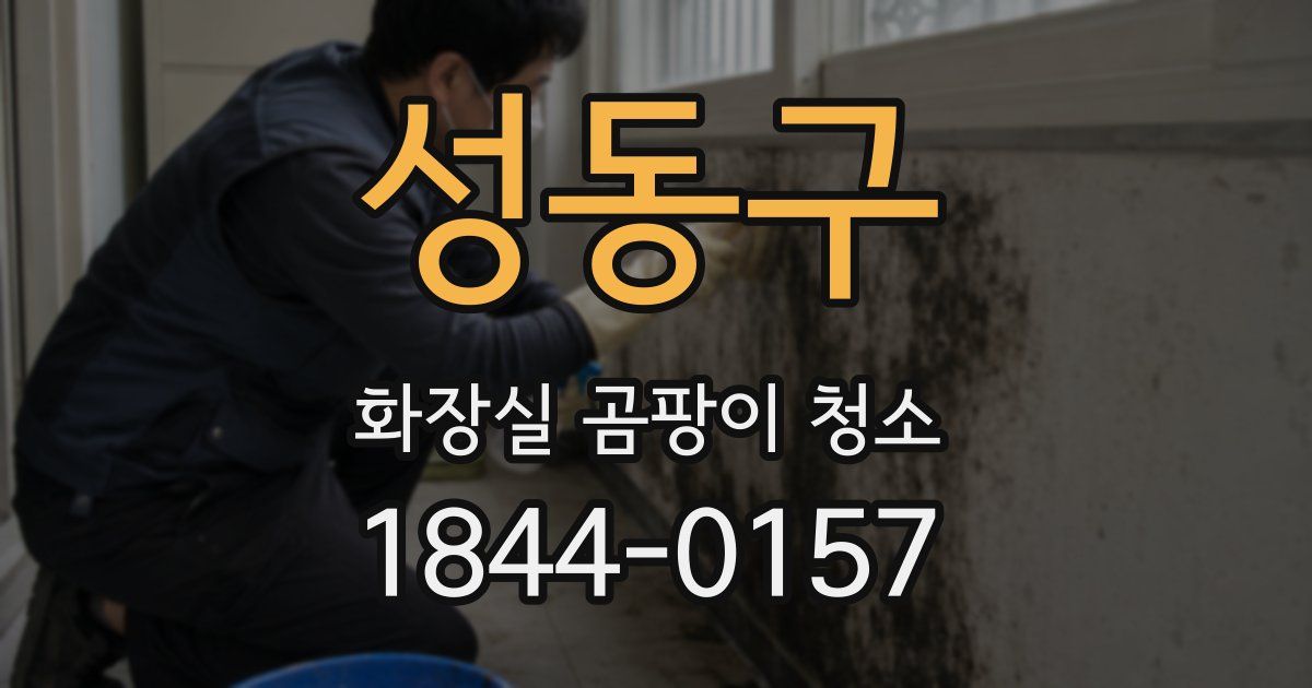 성동구 화장실 곰팡이 청소
